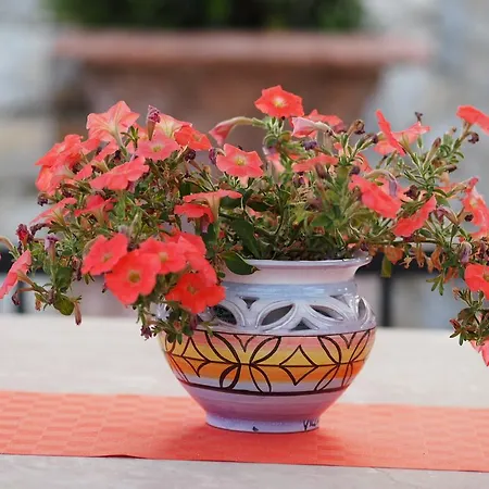 Al Giardino Bed & Breakfast *