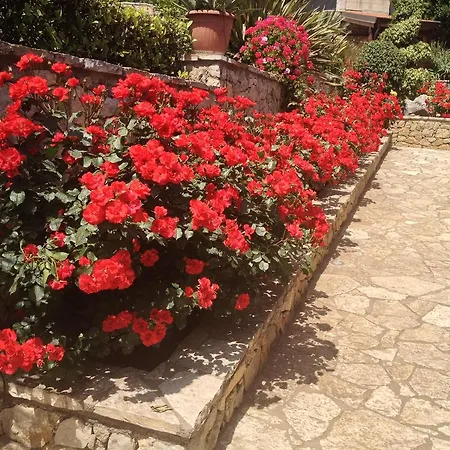 Bed & Breakfast Al Giardino *