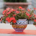 Al Giardino Bed & Breakfast 4*