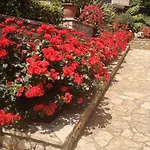 Bed & Breakfast Al Giardino 4*